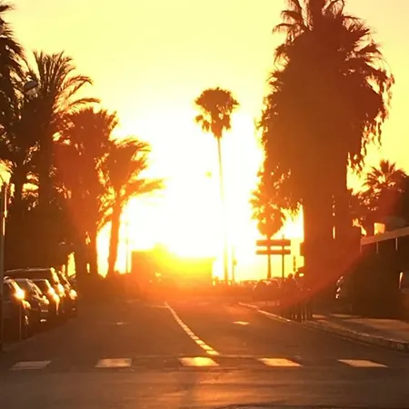 Apartment 3 Pieces De Gamme Suquet